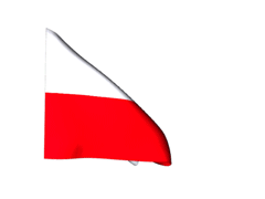 File:Polish flag.gif